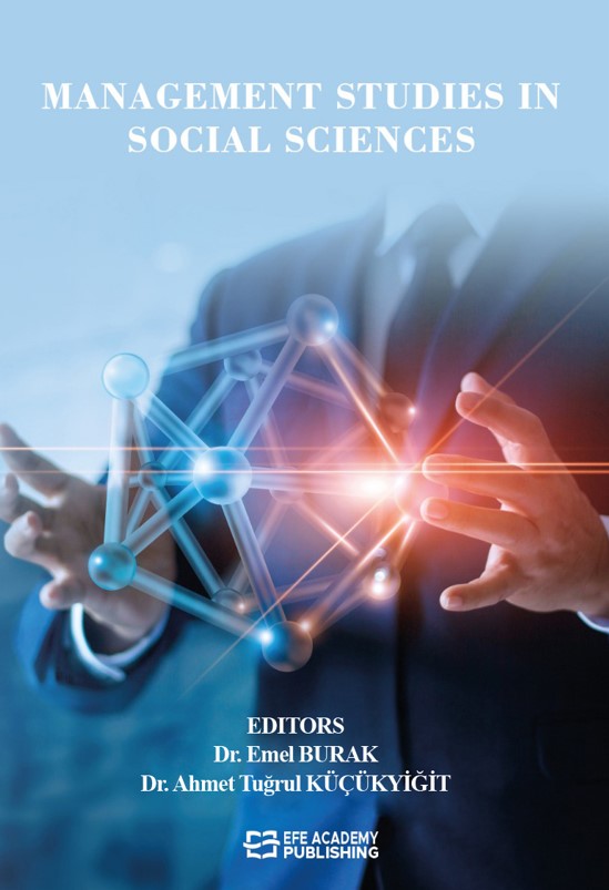 Management Studies in Social Sciences (Ciltli)