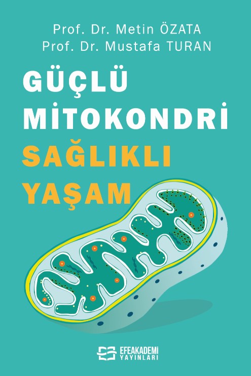 Güçlü Mitokondri Sağlıklı Yaşam